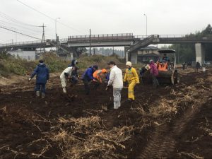 江戸時代から続く 奥深きうど栽培 東京農業活性化ベンチャー 株式会社エマリコくにたち