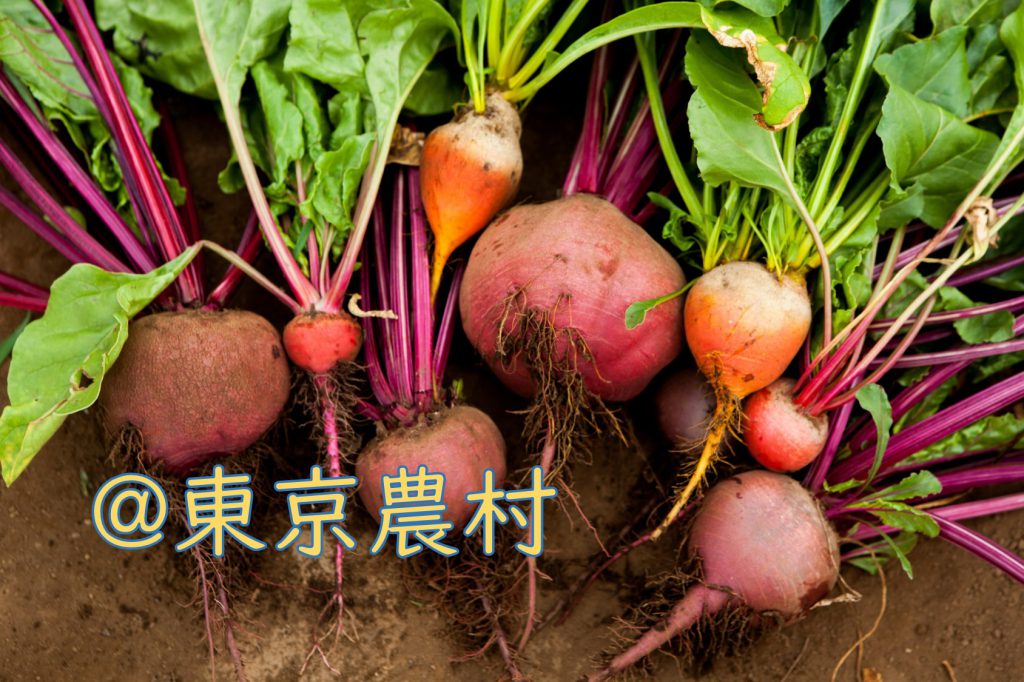 農家と食べよう In東京農村 イタリア夏野菜 を開催します 東京農業活性化ベンチャー 株式会社エマリコくにたち